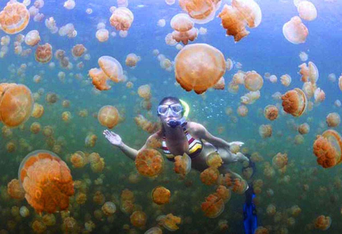 derawan island 12