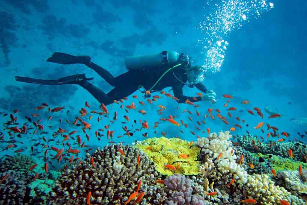 derawan island 2