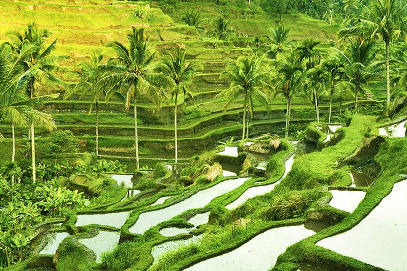 bali itinerary 5