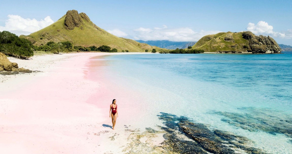 The island is home to a unique ecosystem that includes not only the Komodo dragons but also a variety of other wildlife such as deer, wild boar, water buffalo, and various bird species. The island's landscape is dominated by rugged hills, savannah grasslands, and dense forests, making it an ideal destination for nature lovers and adventure seekers.