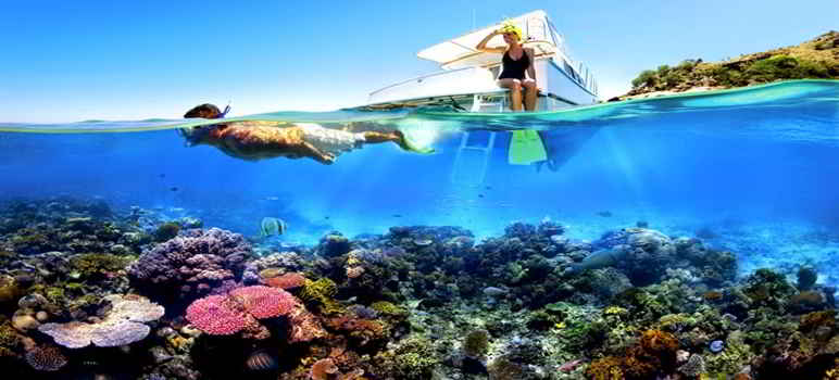 menjangan island 5