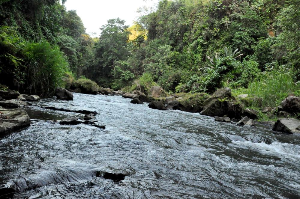petanu river bali