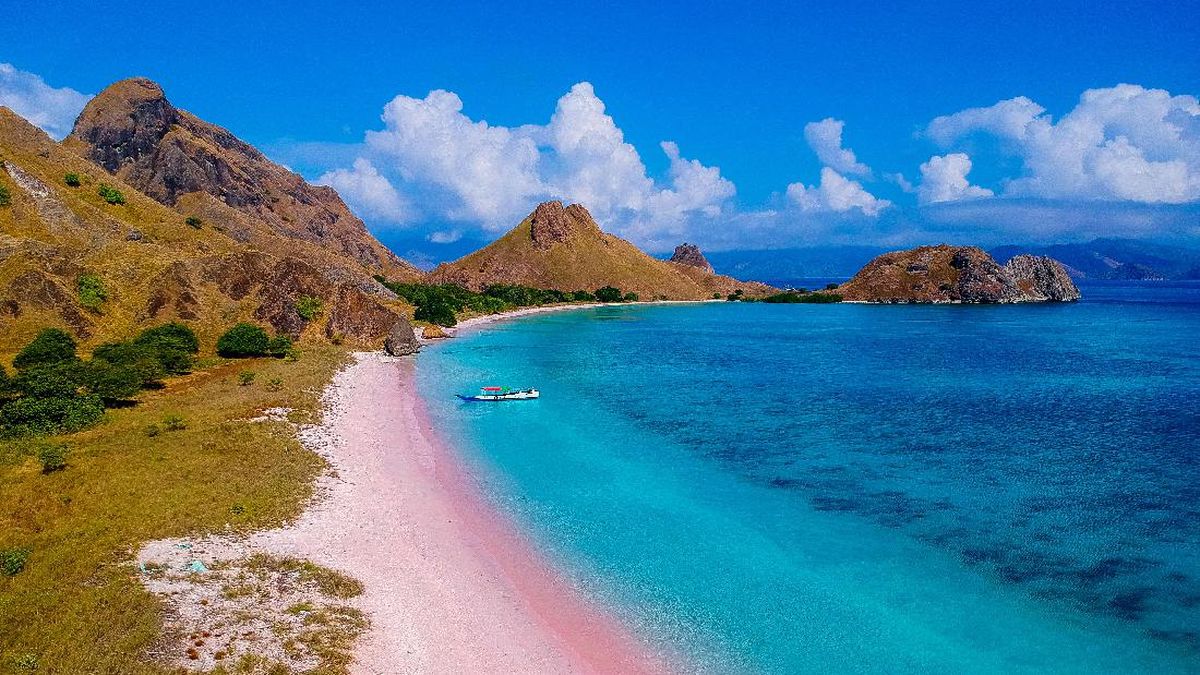 pink beach