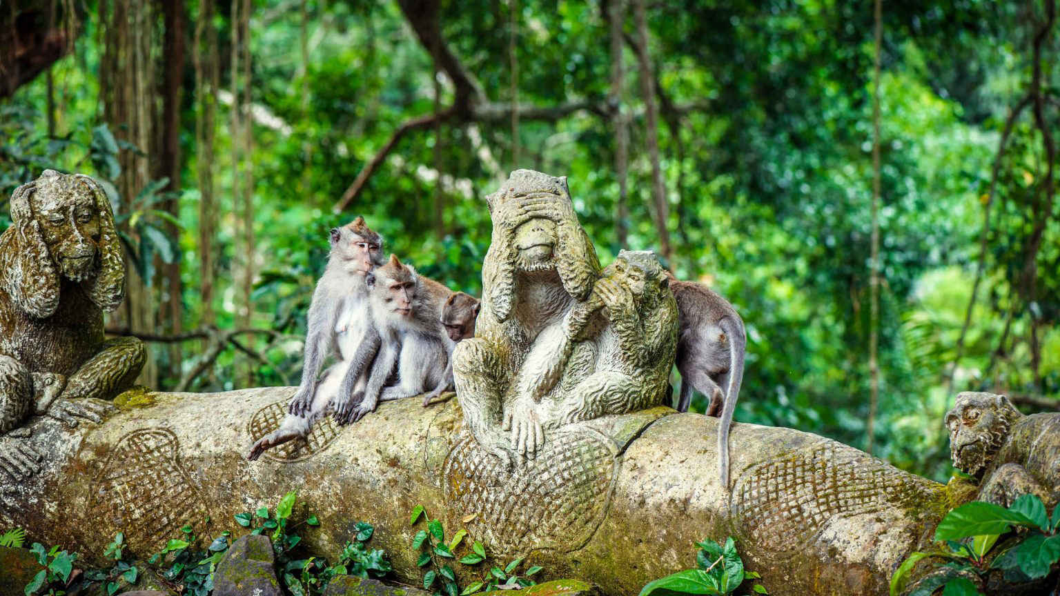 Bali offers a wealth of natural and cultural attractions. Explore Bali's hidden gems and must-see sights with our comprehensive guide to the island's most beautiful places